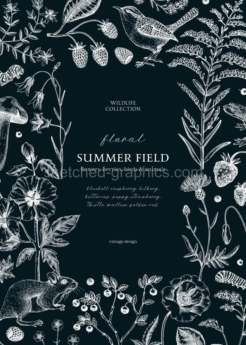 Retro style floral border design. Vintage summer background. Wildlife sketches on chalkboard. Wildflowers botanical illustration. Hand-drawn field flowers, birds, and animals for wedding invitation Illustration